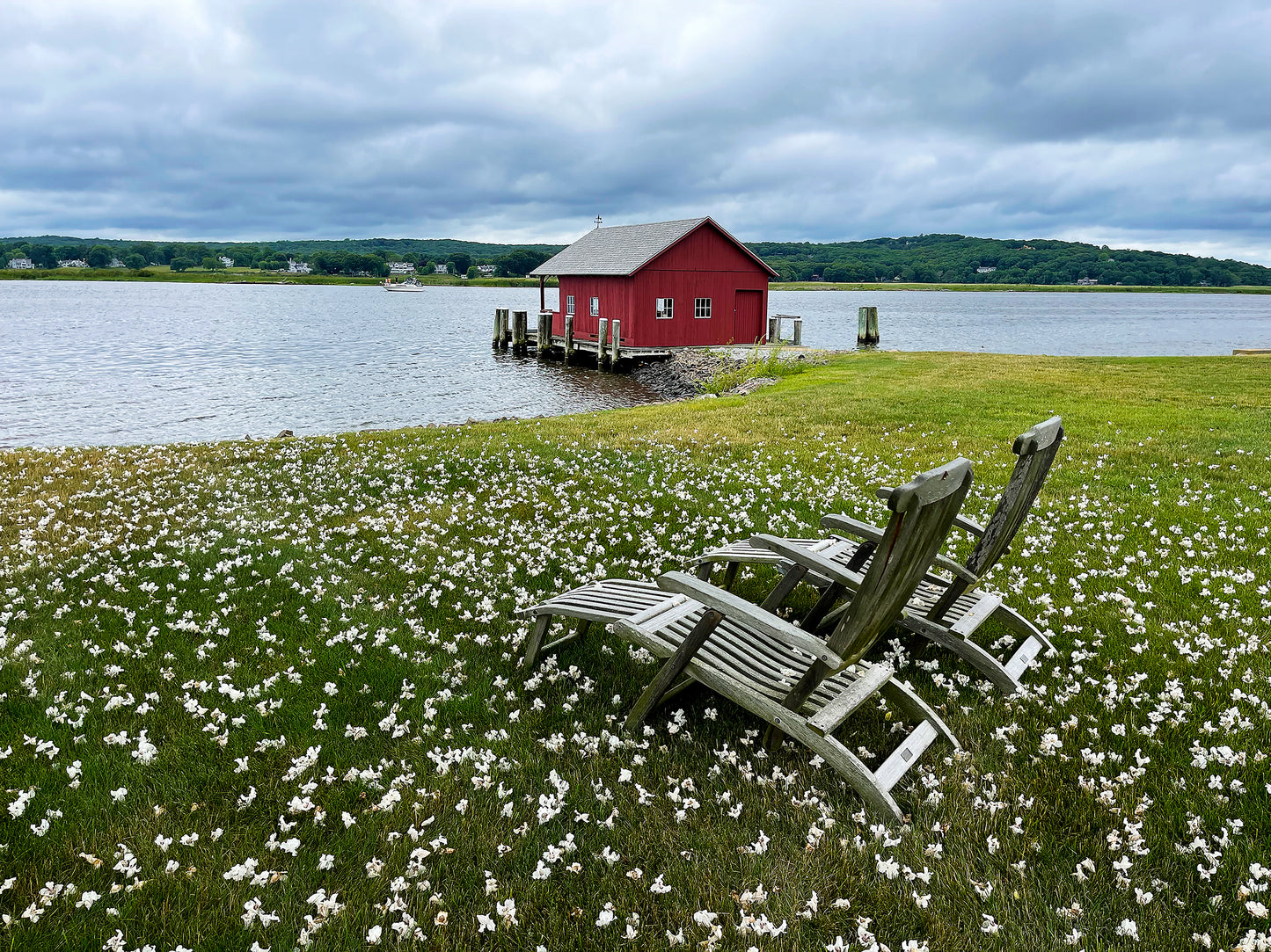 “Summer Snow” — Lyme, CT