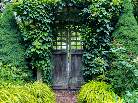 “Nina's Gate” — Amagansett, NY