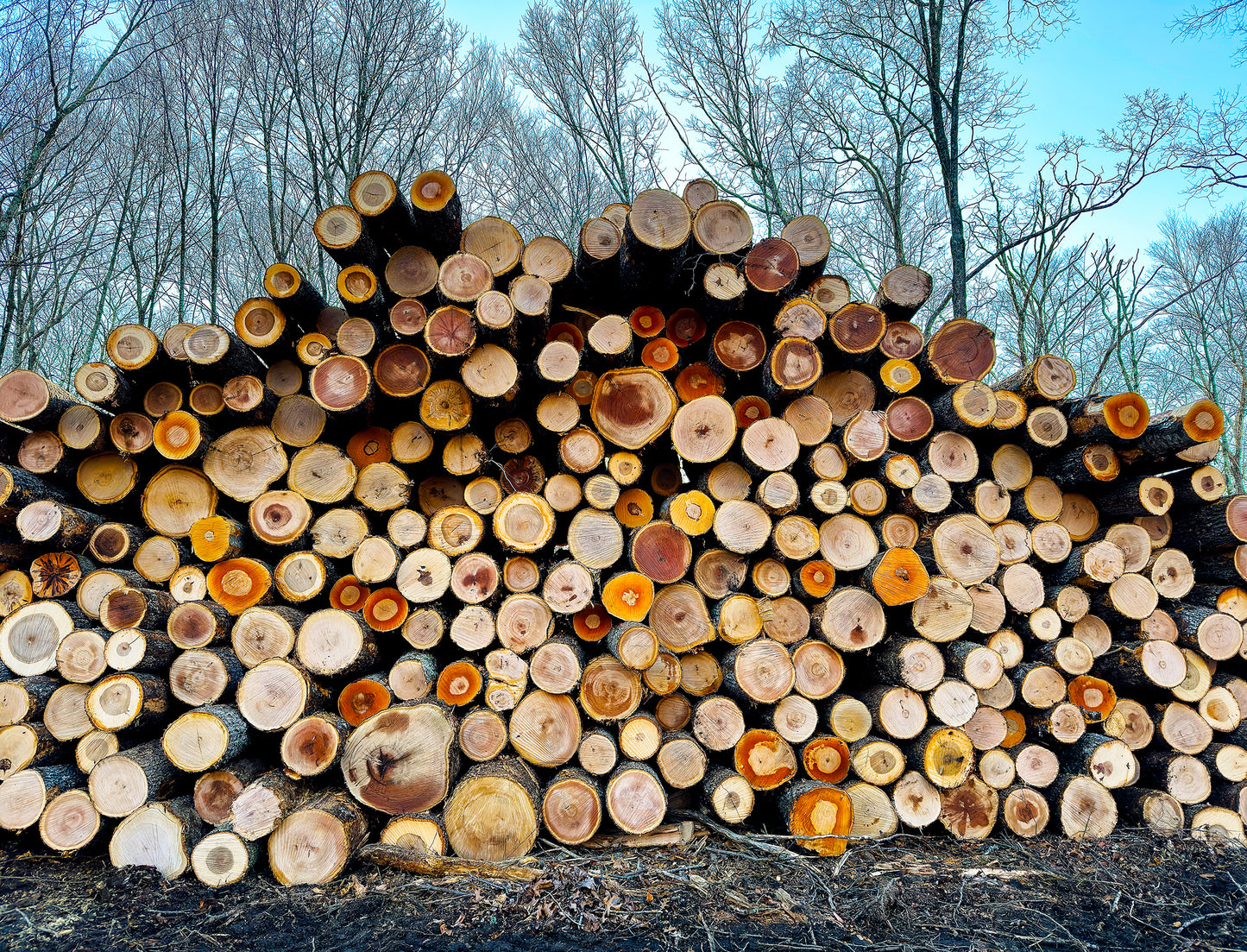 “Sterling Logs” — Lyme, CT
