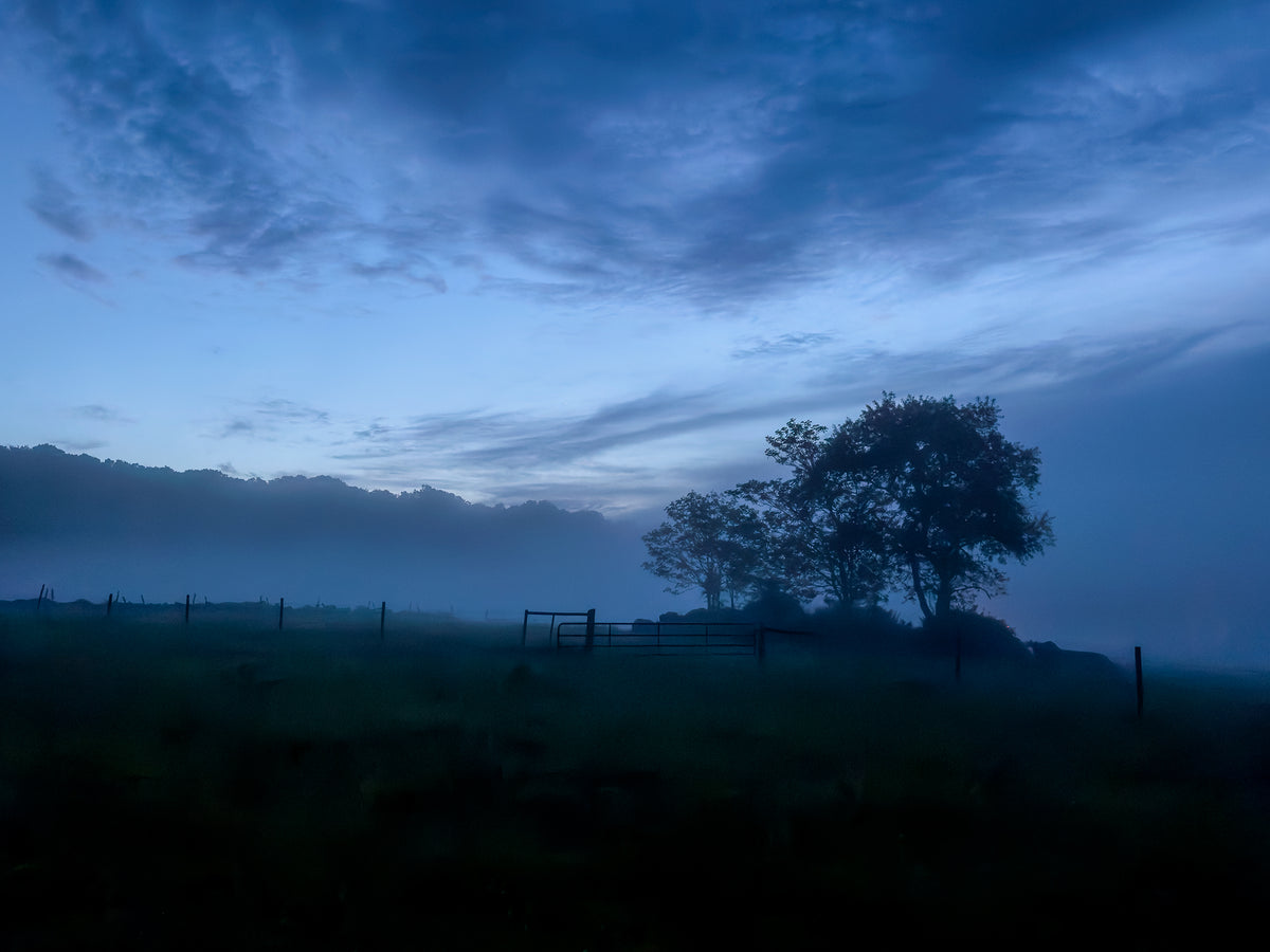 “Tiffany Fog” — Lyme, CT