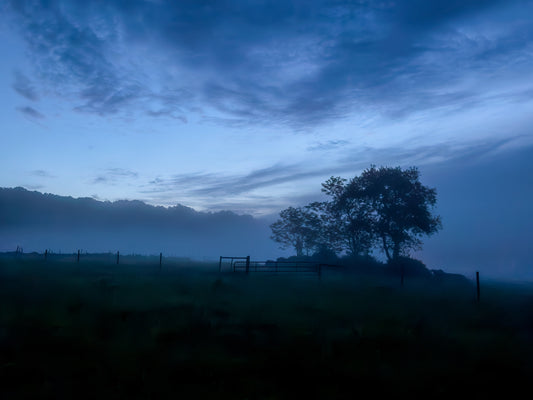“Tiffany Fog” — Lyme, CT