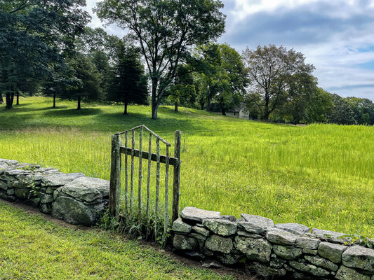 “Cooper's Summer Gate” — Lyme, CT
