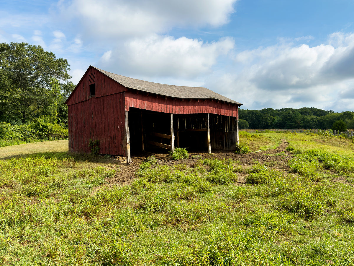 “Halsey's Barn” — Old Lyme, CT