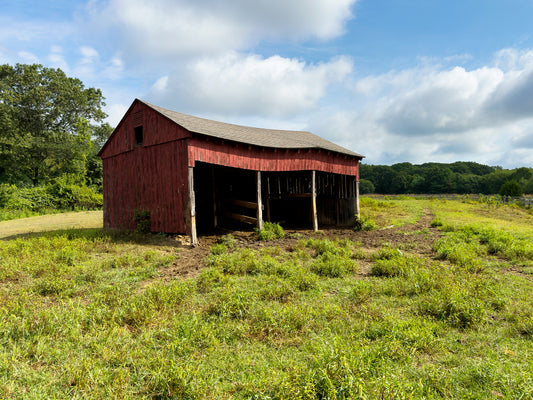 “Halsey's Barn” — Old Lyme, CT