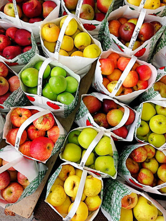 “Blowing Rock Apples” — Blowing Rock, NC