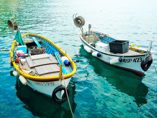 “Cinque Terre Boats” — Vernazza, Italy