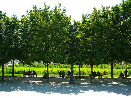 “Jardin des Tuileries” — Paris, France